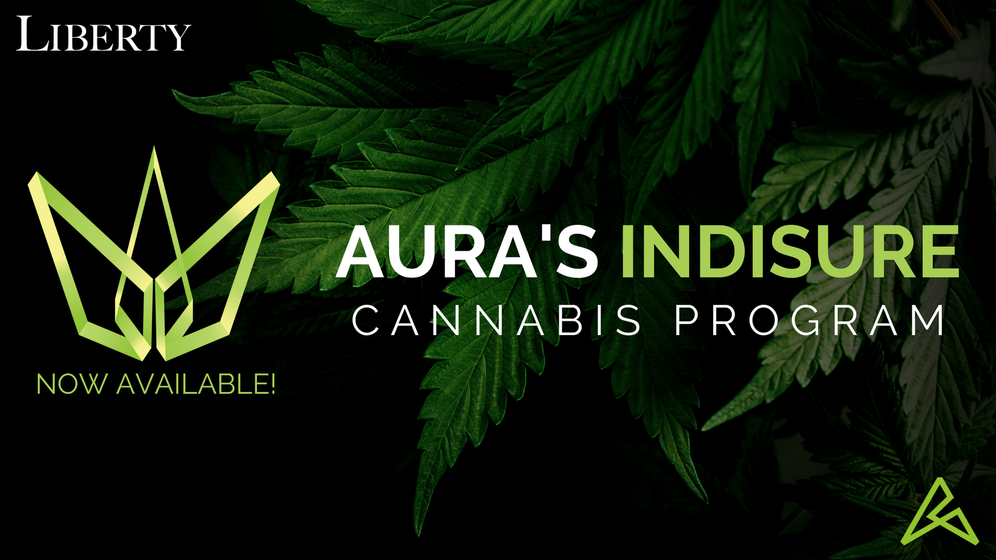 Cannabis Program for Risk ManagementMana