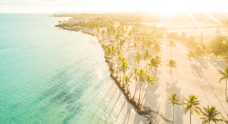 Sun-Sand-and-Seamless-Collaboration